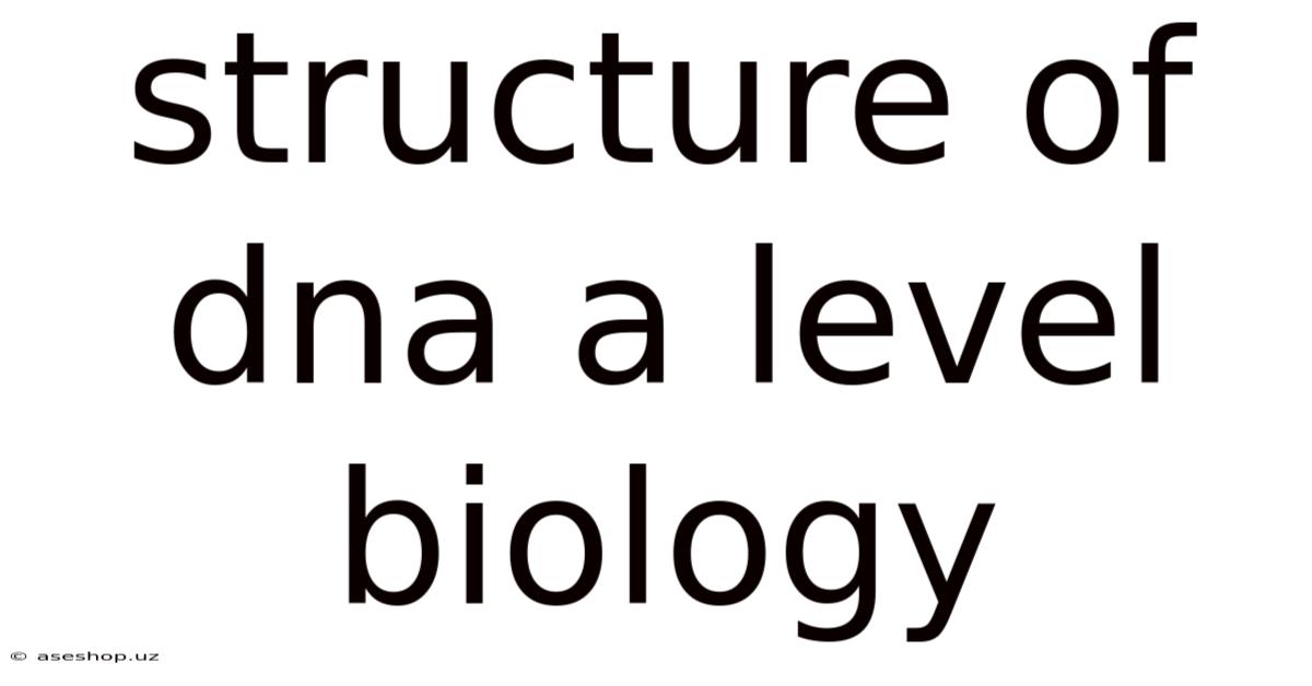 Structure Of Dna A Level Biology