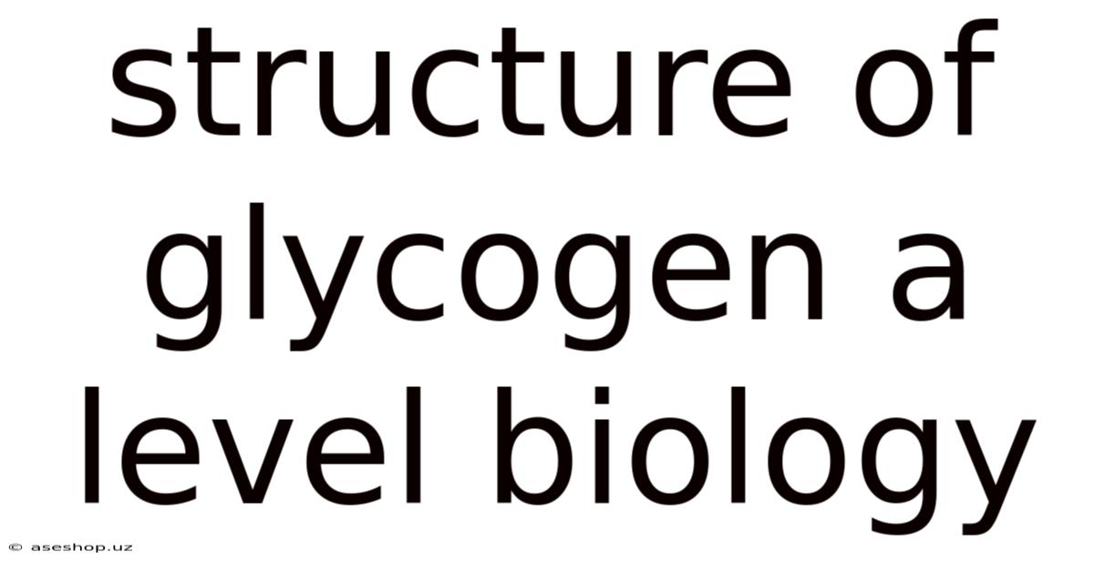 Structure Of Glycogen A Level Biology