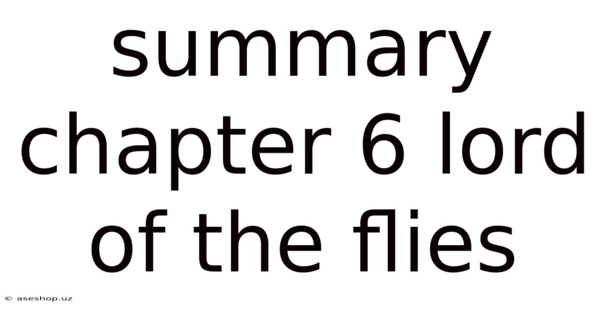 Summary Chapter 6 Lord Of The Flies