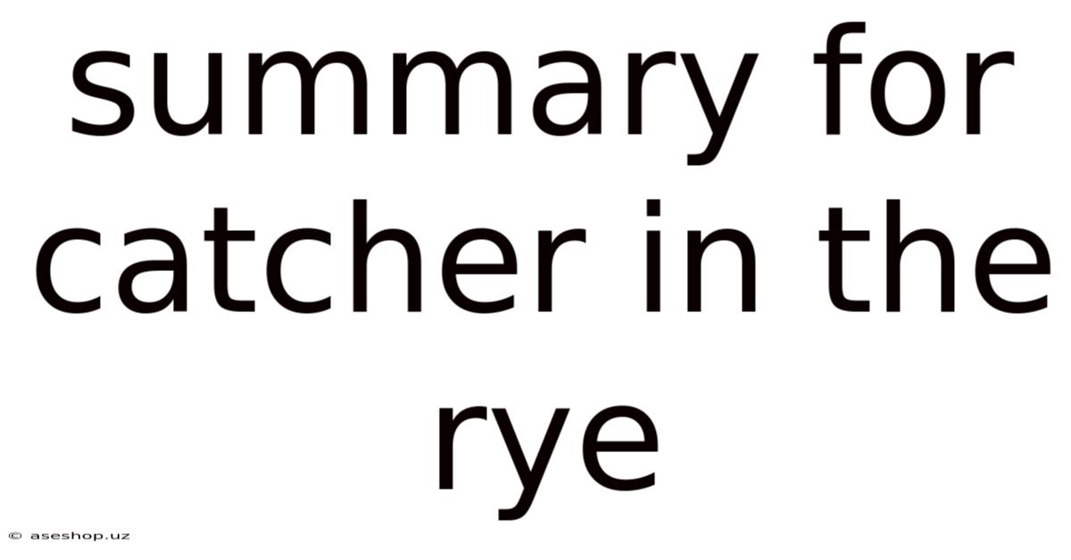Summary For Catcher In The Rye