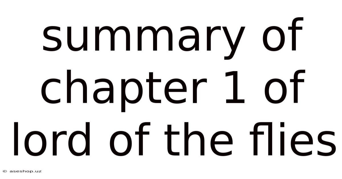 Summary Of Chapter 1 Of Lord Of The Flies