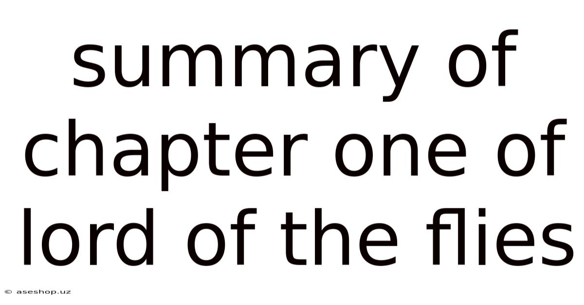 Summary Of Chapter One Of Lord Of The Flies