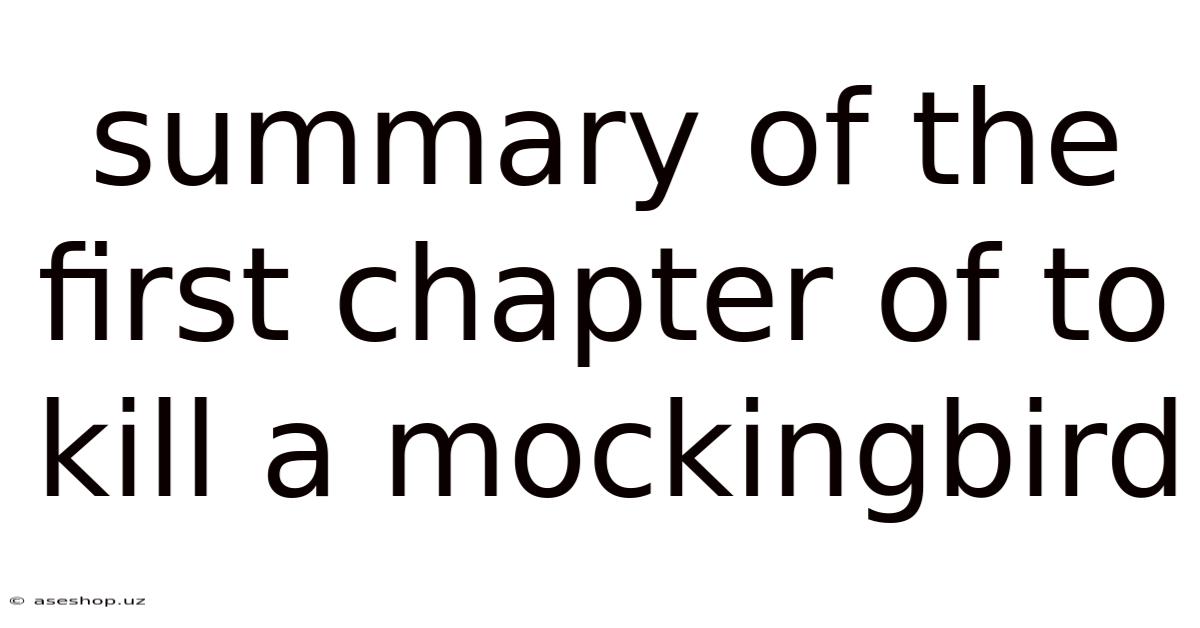 Summary Of The First Chapter Of To Kill A Mockingbird