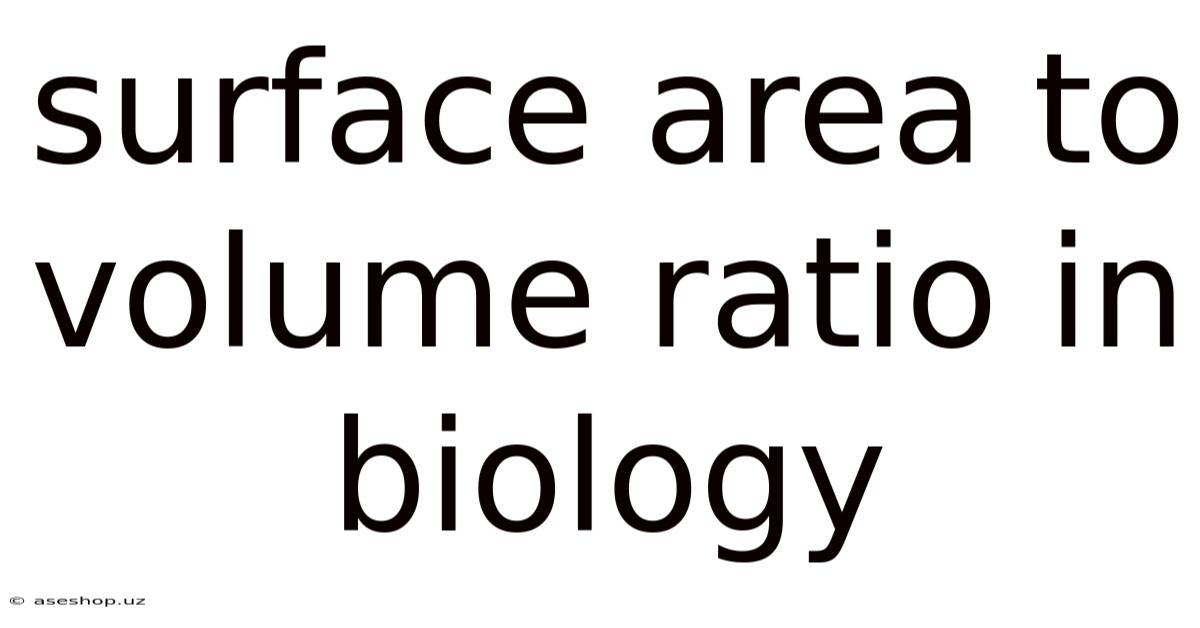 Surface Area To Volume Ratio In Biology