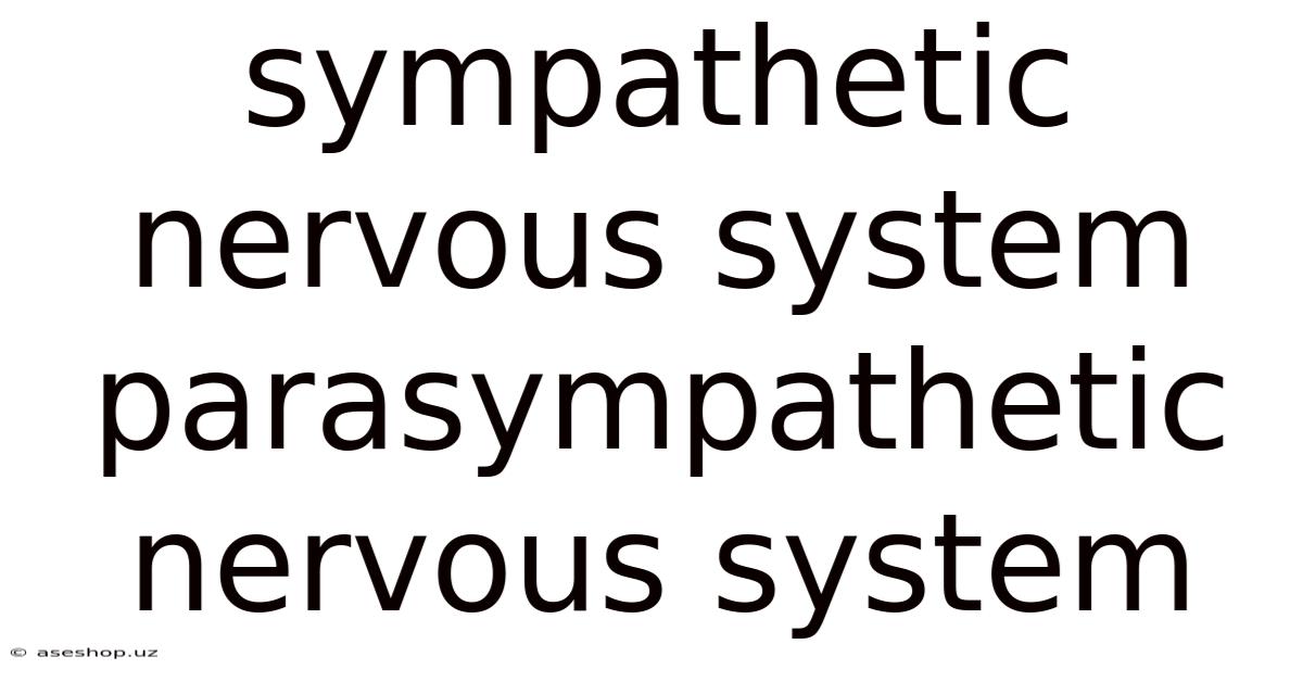 Sympathetic Nervous System Parasympathetic Nervous System