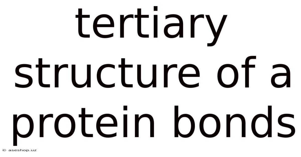 Tertiary Structure Of A Protein Bonds