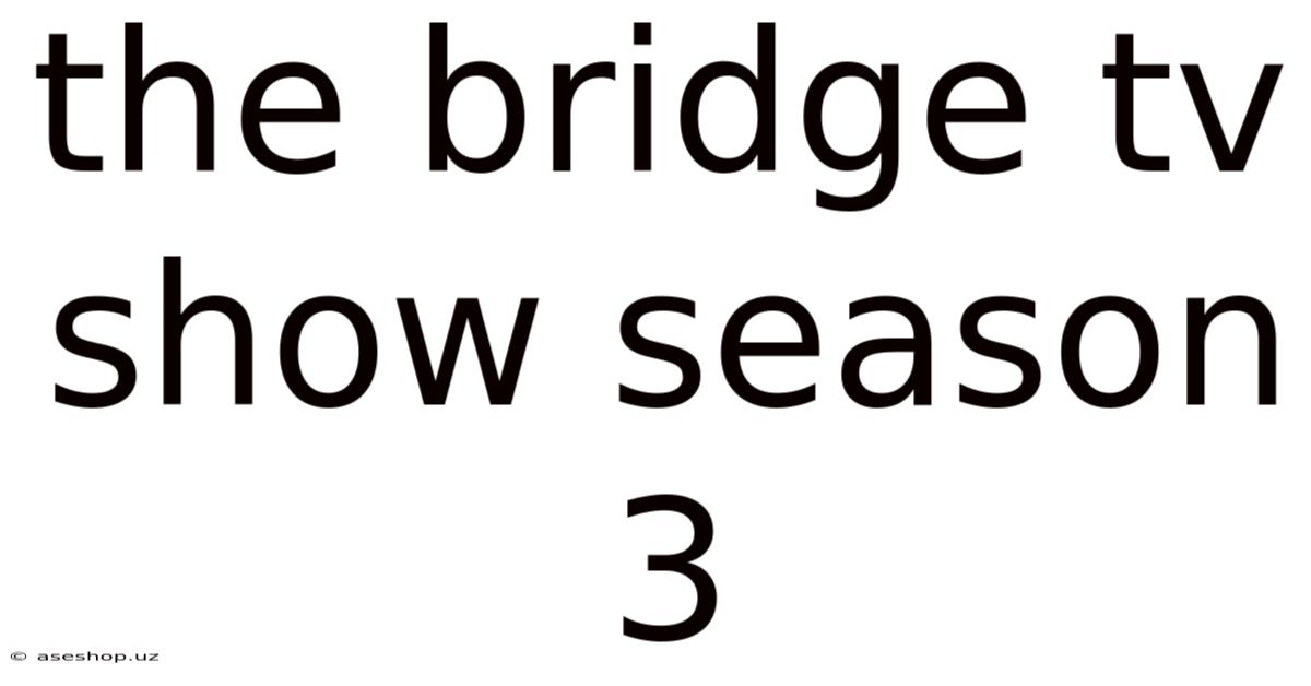 The Bridge Tv Show Season 3