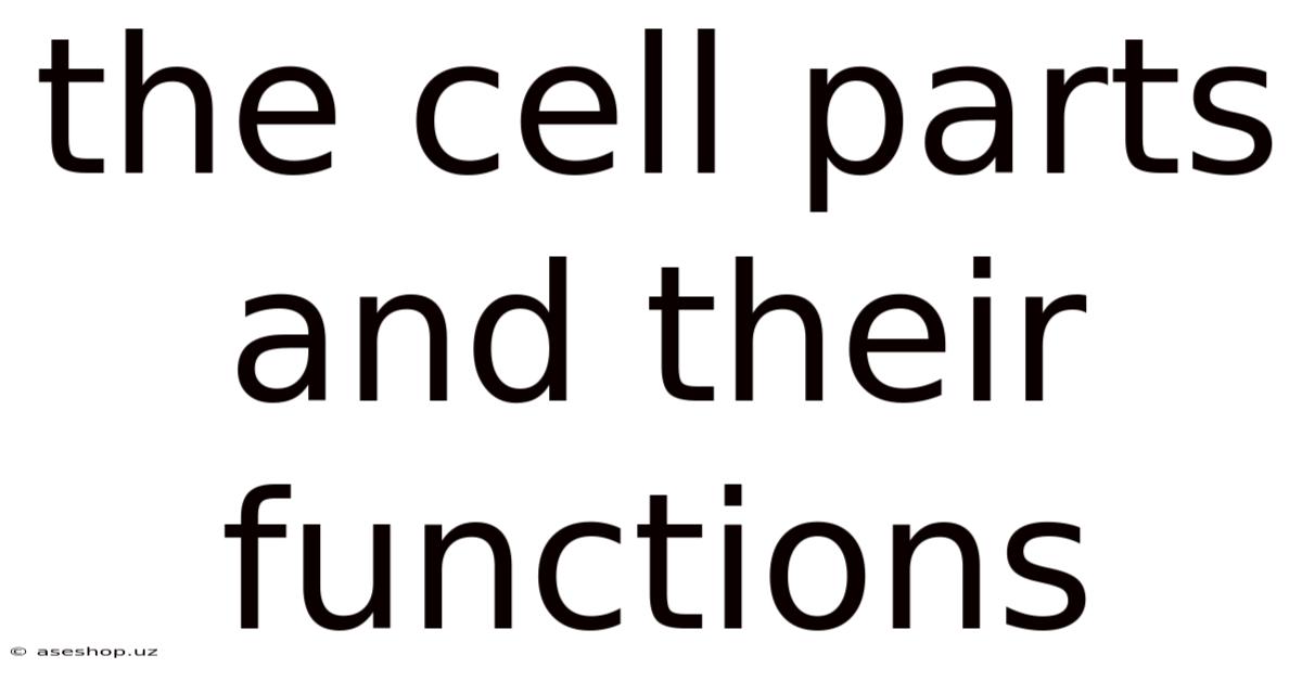 The Cell Parts And Their Functions