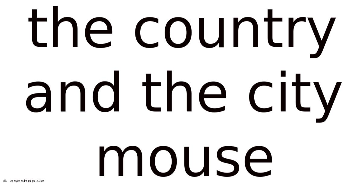 The Country And The City Mouse