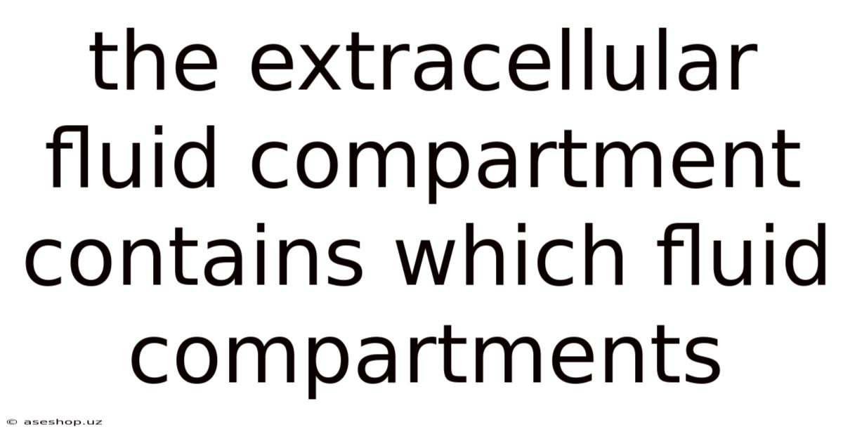 The Extracellular Fluid Compartment Contains Which Fluid Compartments