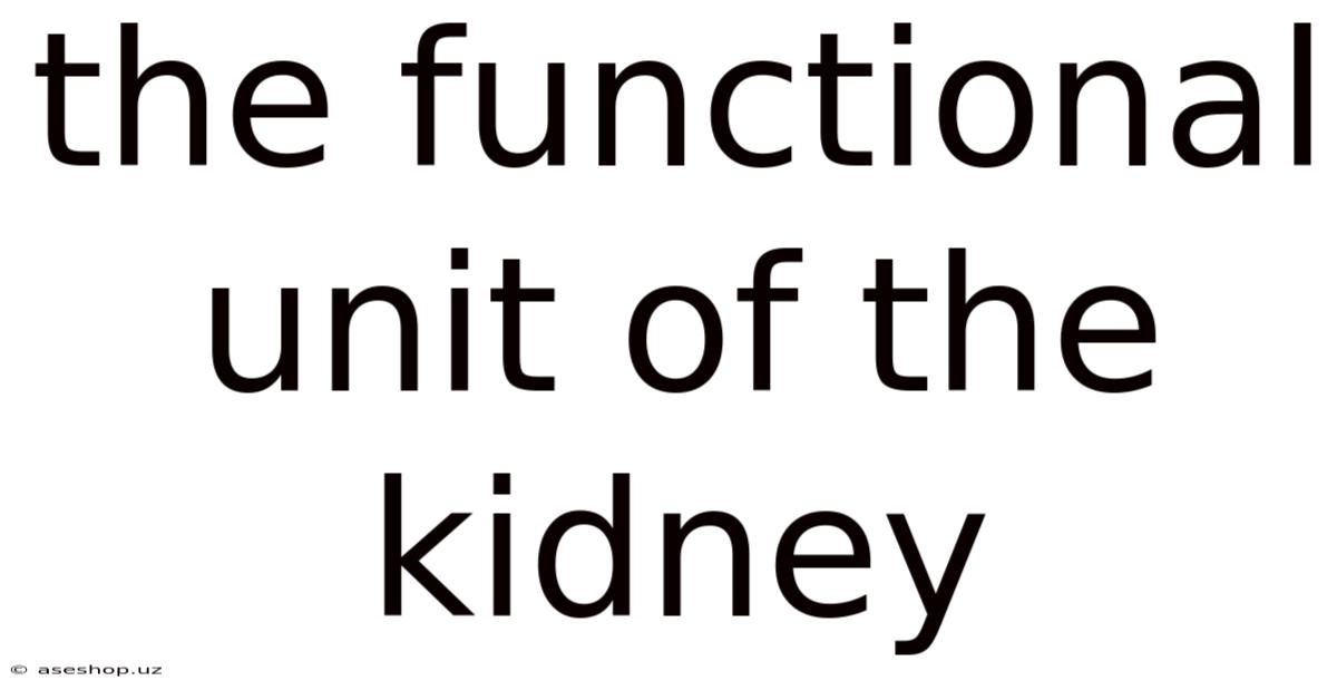 The Functional Unit Of The Kidney