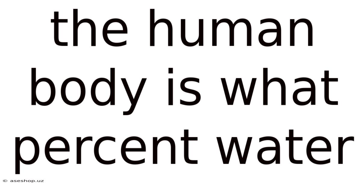 The Human Body Is What Percent Water
