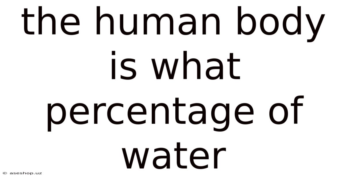 The Human Body Is What Percentage Of Water
