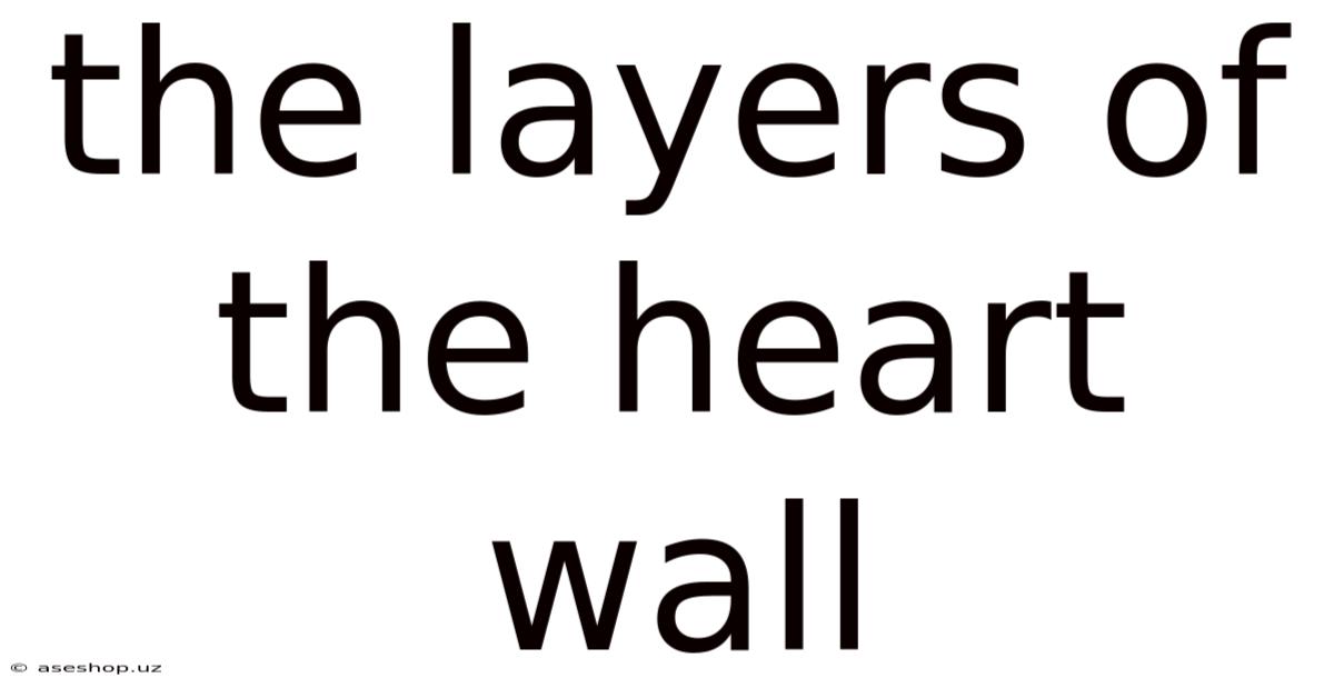 The Layers Of The Heart Wall
