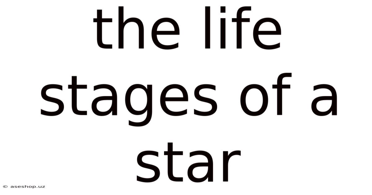 The Life Stages Of A Star