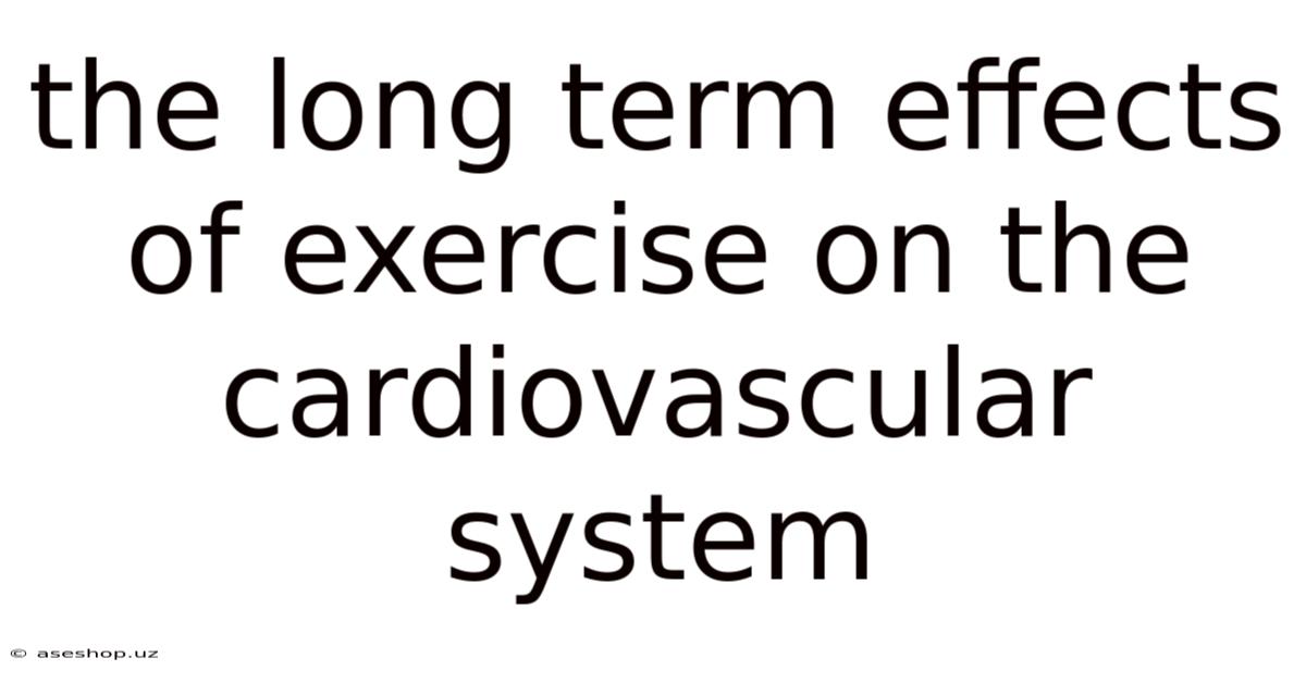 The Long Term Effects Of Exercise On The Cardiovascular System