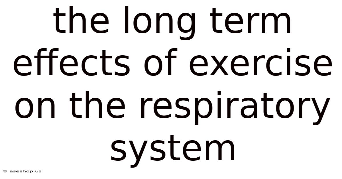 The Long Term Effects Of Exercise On The Respiratory System