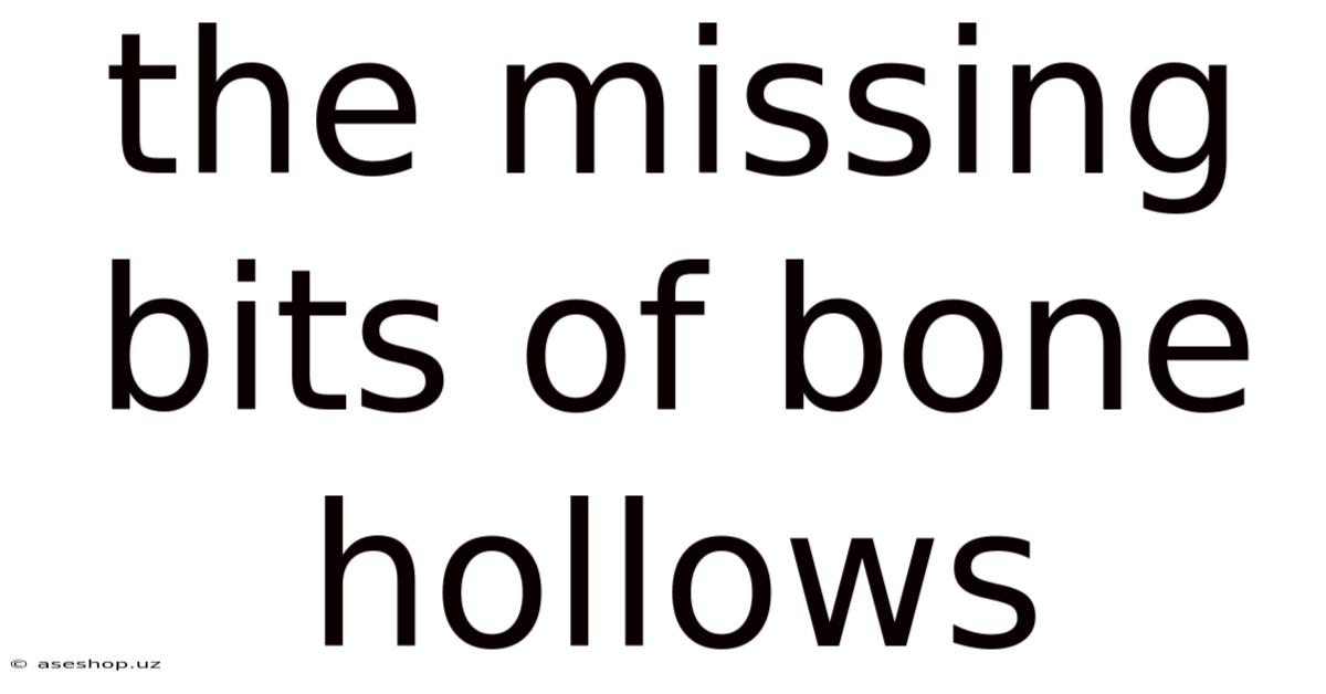 The Missing Bits Of Bone Hollows