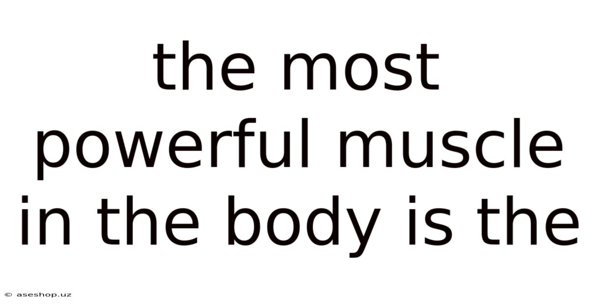 The Most Powerful Muscle In The Body Is The