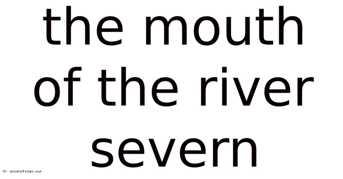 The Mouth Of The River Severn