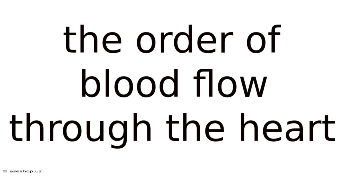 The Order Of Blood Flow Through The Heart