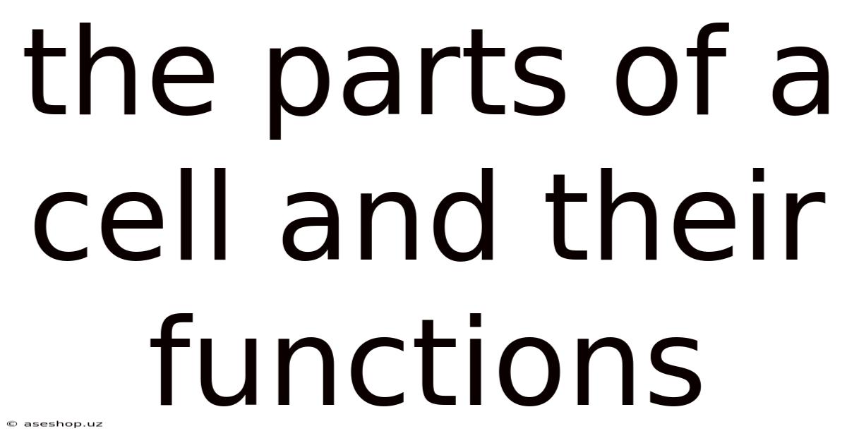 The Parts Of A Cell And Their Functions