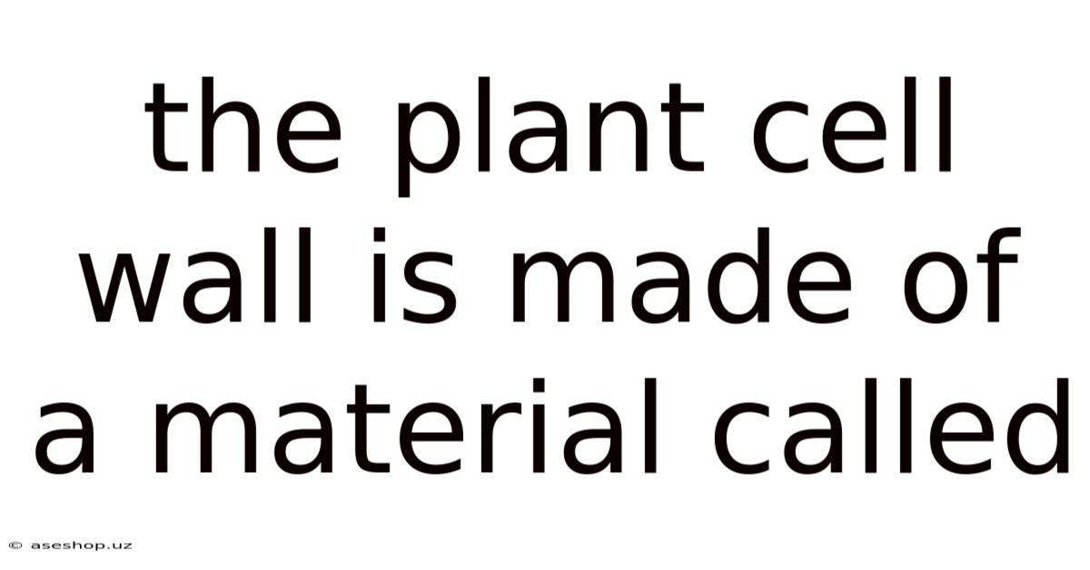 The Plant Cell Wall Is Made Of A Material Called