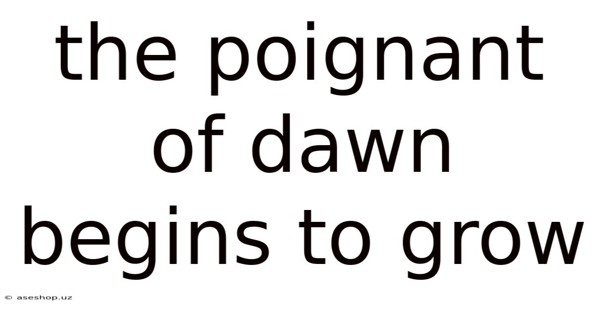 The Poignant Of Dawn Begins To Grow