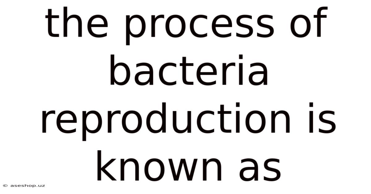 The Process Of Bacteria Reproduction Is Known As