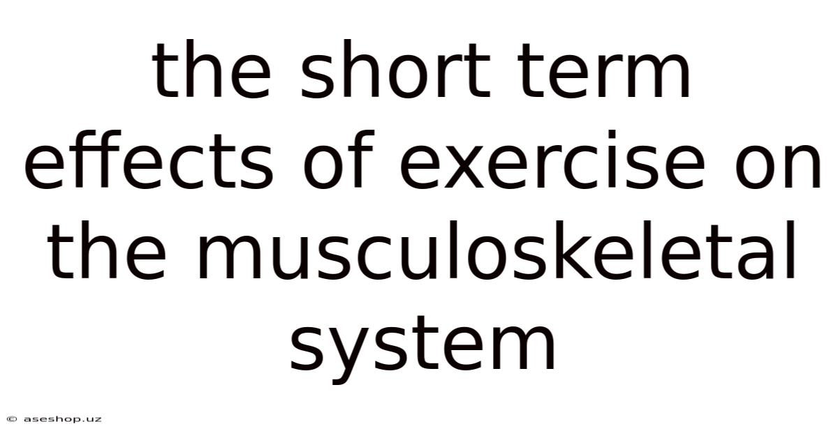 The Short Term Effects Of Exercise On The Musculoskeletal System