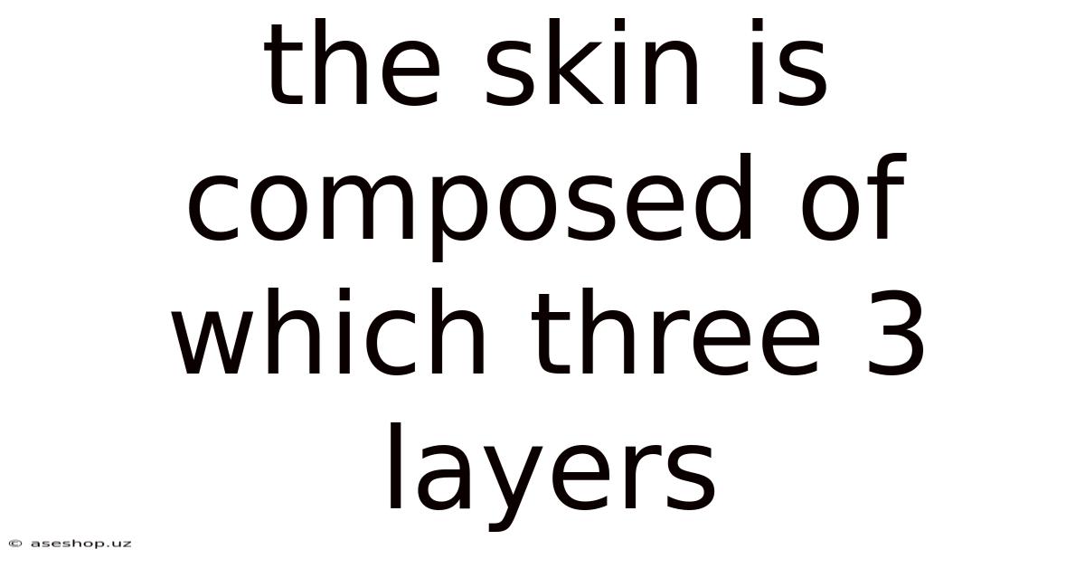 The Skin Is Composed Of Which Three 3 Layers