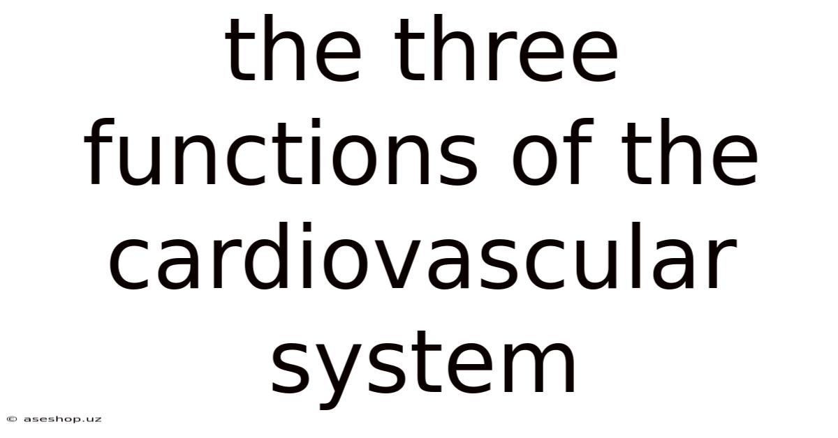 The Three Functions Of The Cardiovascular System