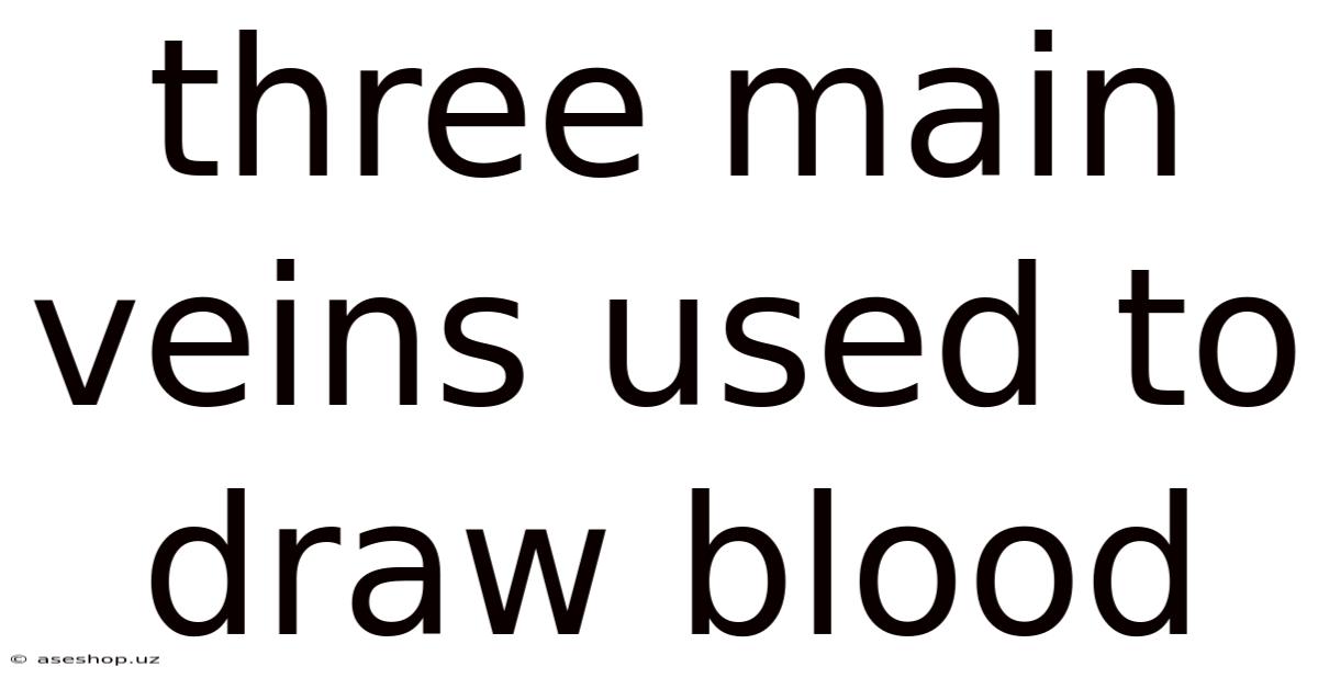 Three Main Veins Used To Draw Blood