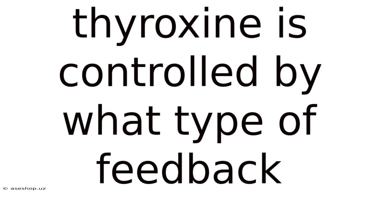 Thyroxine Is Controlled By What Type Of Feedback