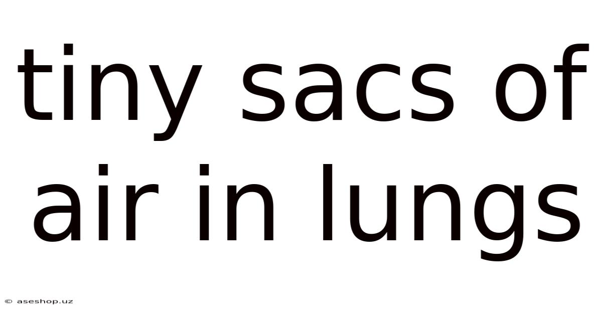 Tiny Sacs Of Air In Lungs