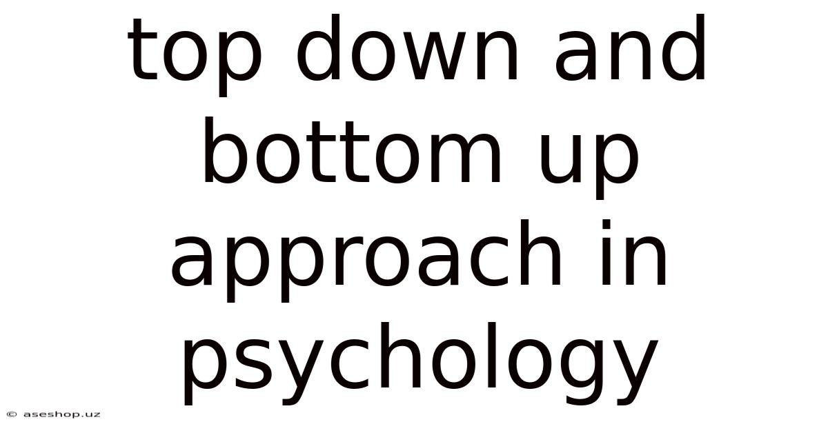 Top Down And Bottom Up Approach In Psychology
