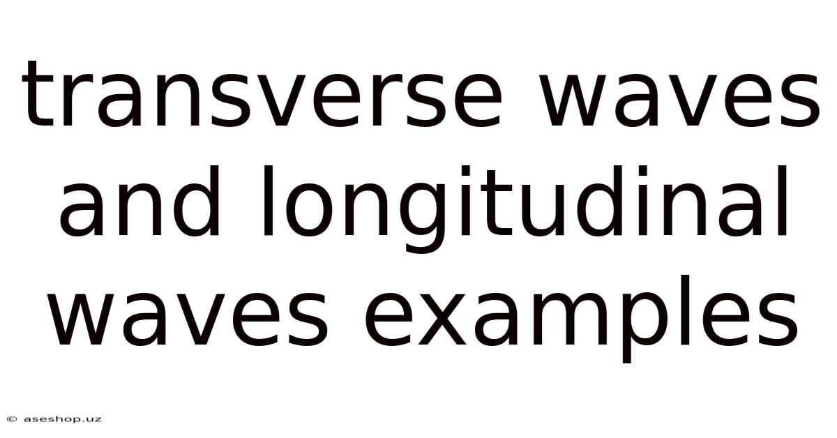 Transverse Waves And Longitudinal Waves Examples