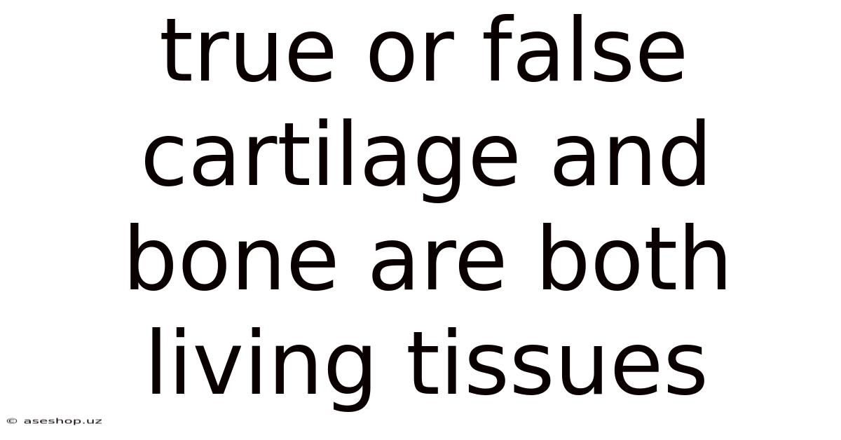 True Or False Cartilage And Bone Are Both Living Tissues