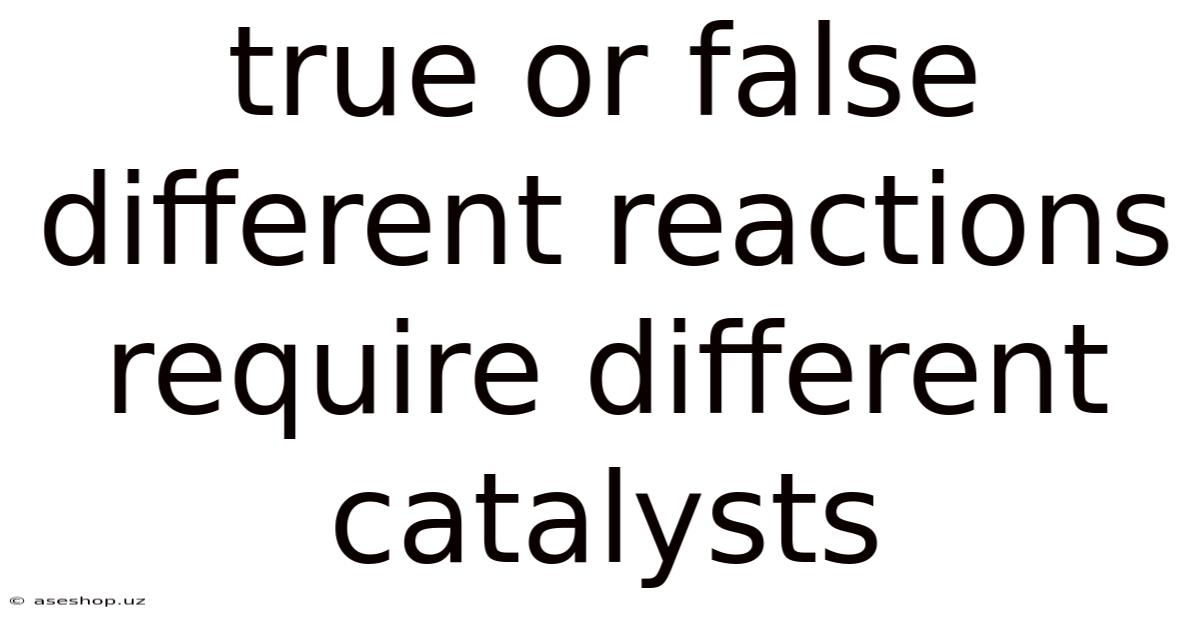 True Or False Different Reactions Require Different Catalysts