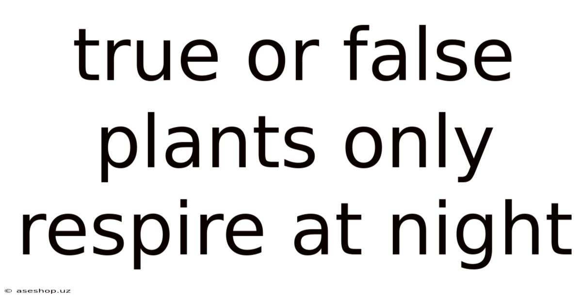 True Or False Plants Only Respire At Night
