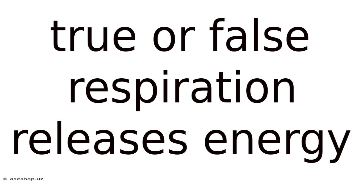 True Or False Respiration Releases Energy
