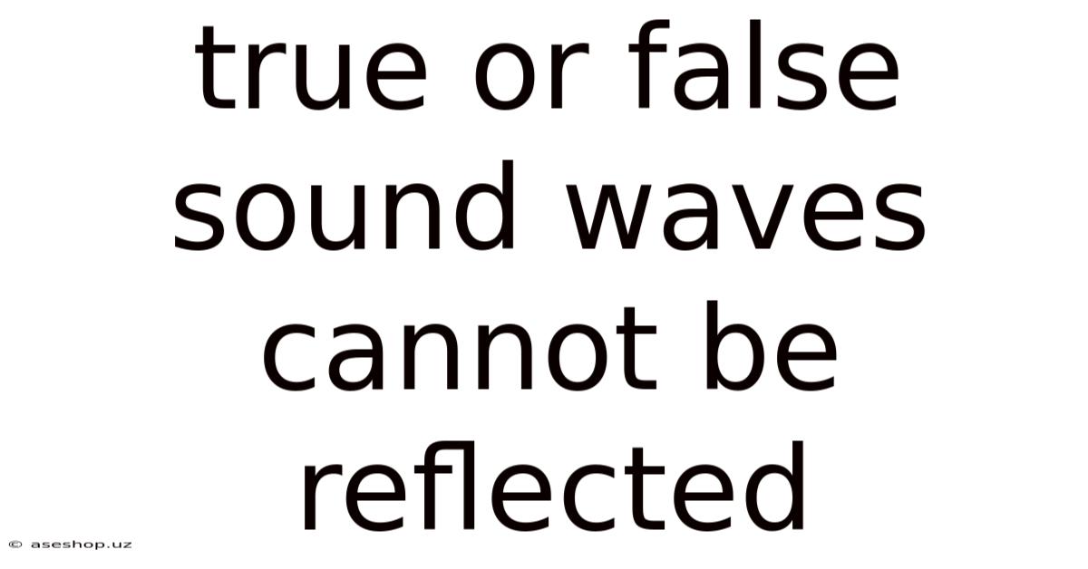 True Or False Sound Waves Cannot Be Reflected