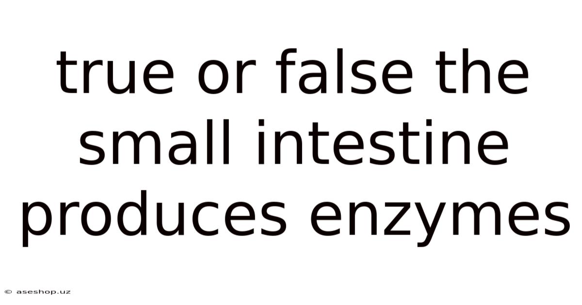 True Or False The Small Intestine Produces Enzymes
