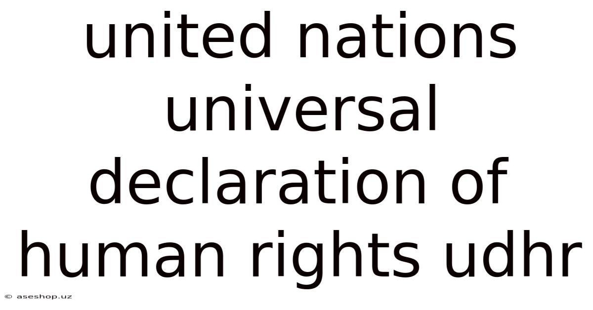 United Nations Universal Declaration Of Human Rights Udhr
