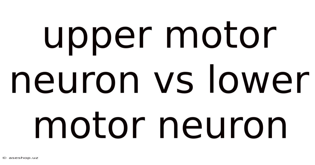 Upper Motor Neuron Vs Lower Motor Neuron