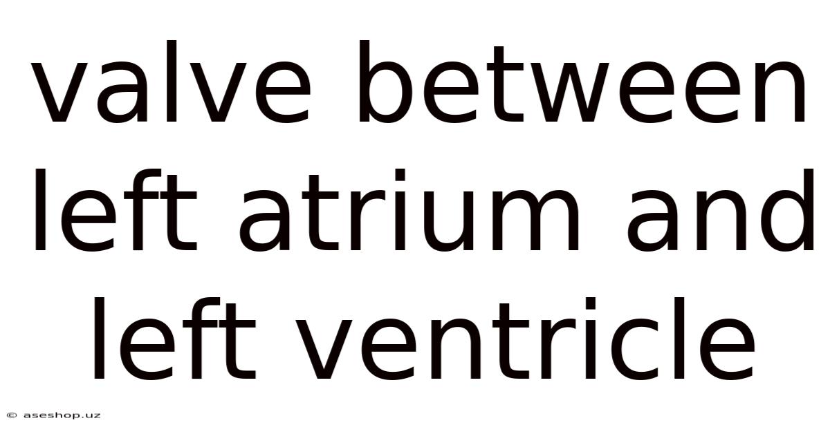 Valve Between Left Atrium And Left Ventricle