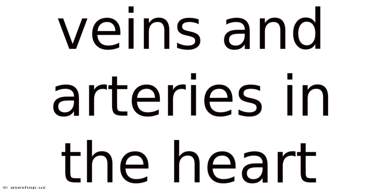 Veins And Arteries In The Heart
