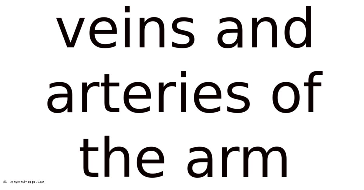 Veins And Arteries Of The Arm