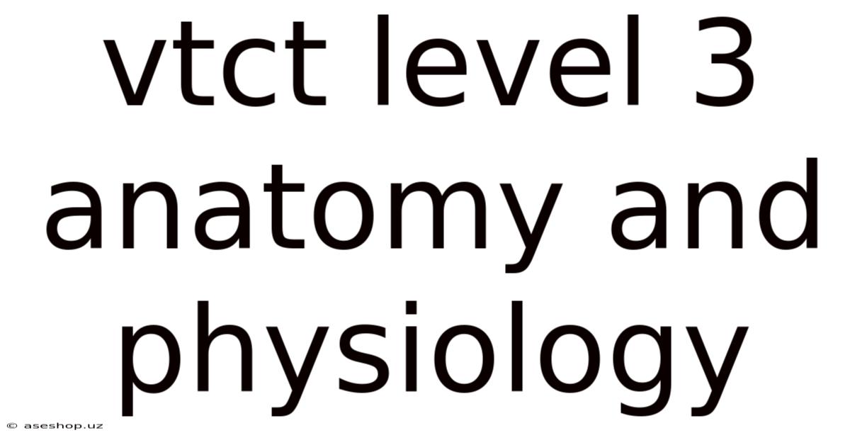 Vtct Level 3 Anatomy And Physiology