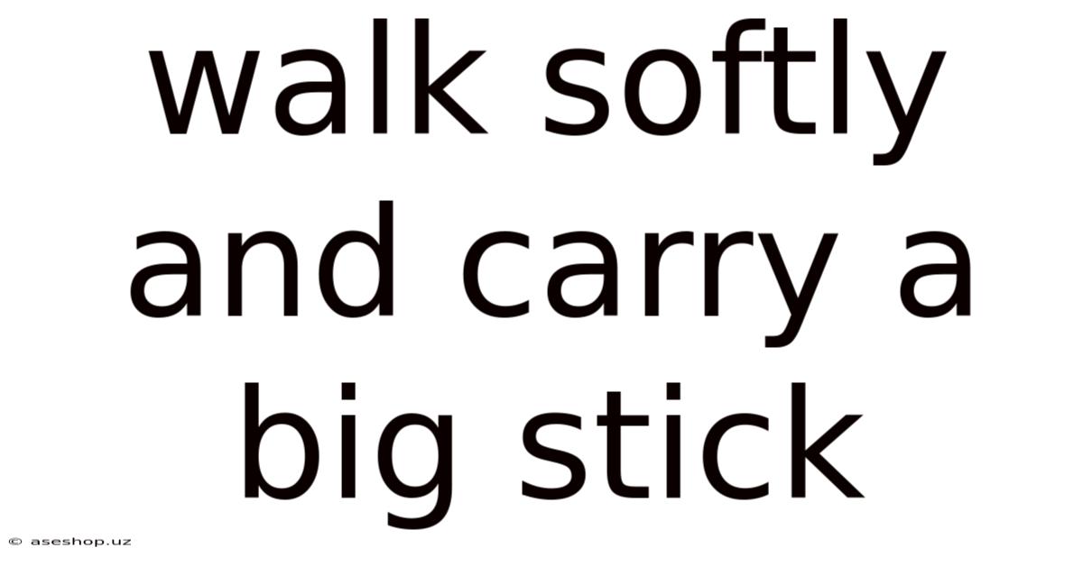 Walk Softly And Carry A Big Stick